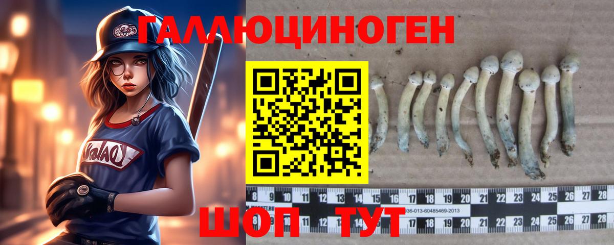 Галлюциногенные грибы мухоморы  Вход с VPN  купить наркоту  Галлюциногенные грибы мухоморы  Пенза 